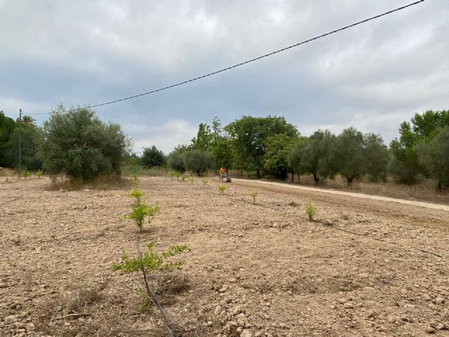 El Mayayo se convierte en el centro de la innovación agroecológica - 3, Foto 3