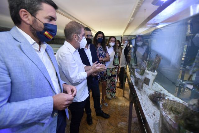 El Acuario de la Universidad de Murcia consigue los primeros avances para la cría en cautividad de la nacra - 2, Foto 2