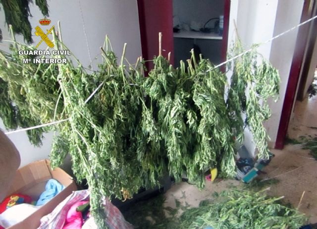 La Guardia Civil desmantela un grupo criminal integrado por jóvenes presuntamente dedicado al robo en viviendas y al cultivo de marihuana - 1, Foto 1
