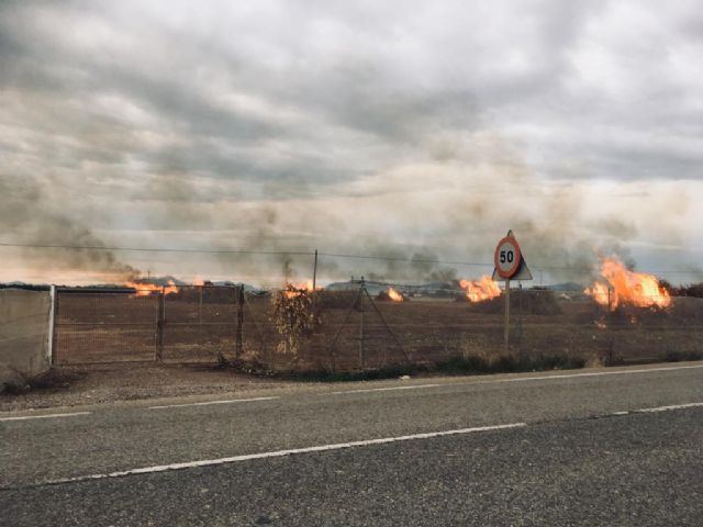 Ecologistas en Acción critica la actitud de la Consejería con las quemas agrícolas - 1, Foto 1