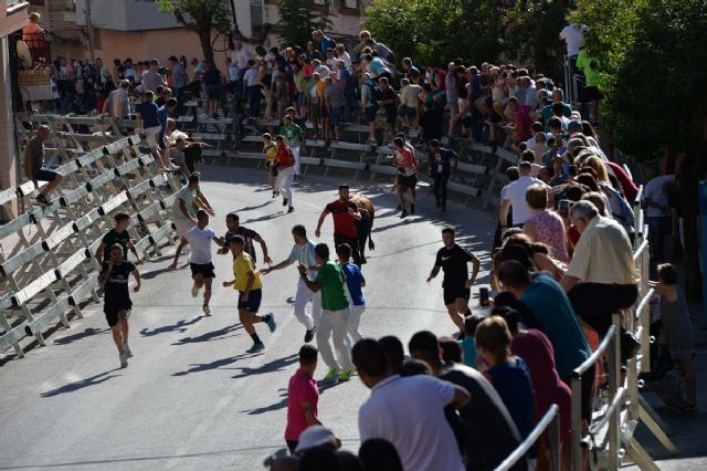 5º Encierro de la Feria y Fiestas de Calasparra - 2, Foto 2