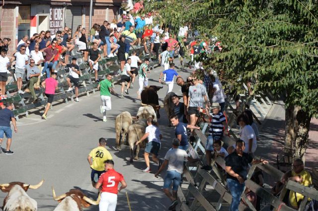 5º Encierro de la Feria y Fiestas de Calasparra - 3, Foto 3