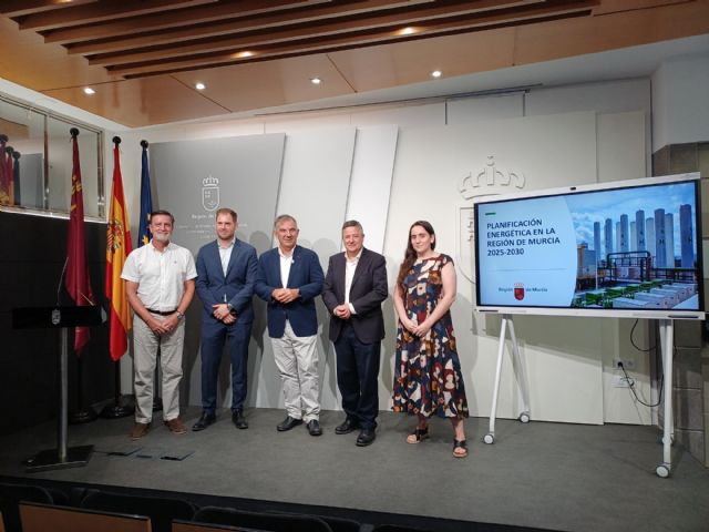 El Gobierno regional exige al Ministerio que, tras un a&ntilde;o de retraso, cumpla y convoque las reuniones sobre planificaci�n el�ctrica, Foto 2