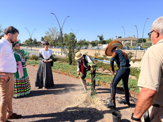 Lorca planta nuevas raíces con el Festival Internacional de Folklore Virgen de las Huertas - 4, Foto 4