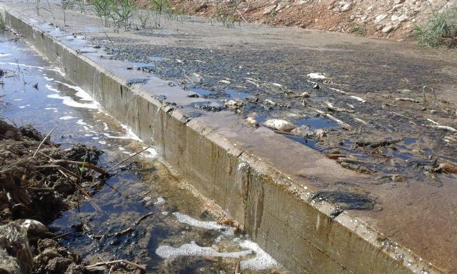 El Mar Menor recibe nuevamente vertidos desde la rambla del Albujón - 2, Foto 2