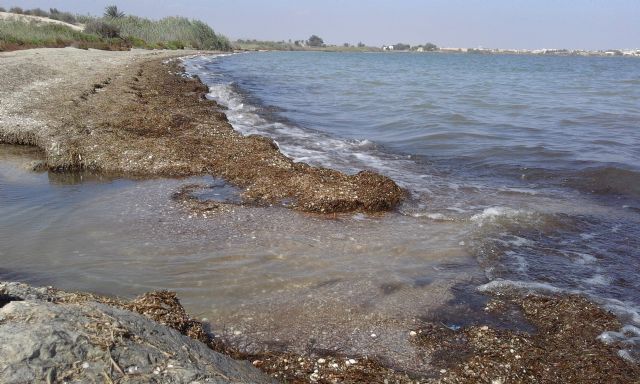 El Mar Menor recibe nuevamente vertidos desde la rambla del Albujón - 3, Foto 3