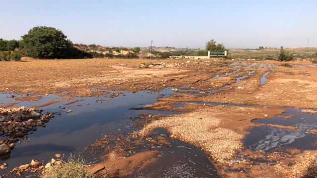Denuncian el vertido de purines al embalse de Santomera - 1, Foto 1
