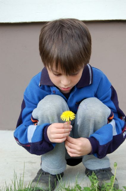 Aldeas Infantiles SOS alerta de que 2 de cada 3 niños privados del cuidado parental han sufrido una experiencia traumática - 2, Foto 2