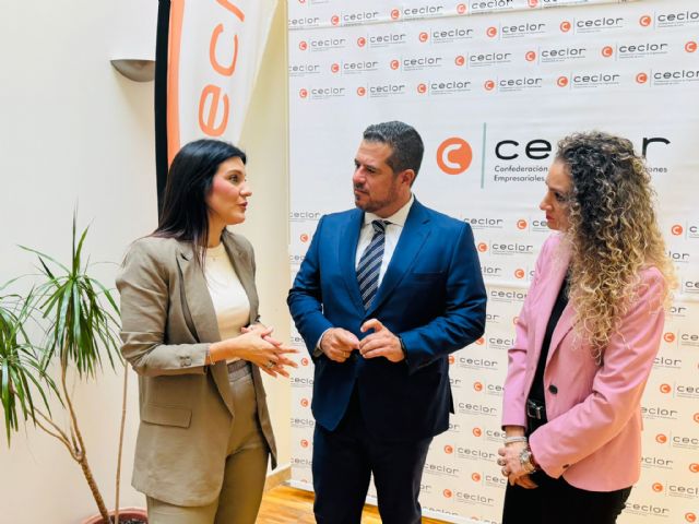 Hasta 8 proyectos en solares del recinto histórico reciben ayudas para actuaciones arqueológicas, lo que supone un paso más dentro del proyecto de revitalización del enclave - 2, Foto 2