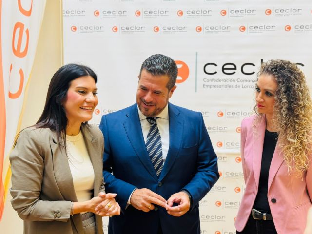 Hasta 8 proyectos en solares del recinto histórico reciben ayudas para actuaciones arqueológicas, lo que supone un paso más dentro del proyecto de revitalización del enclave - 3, Foto 3