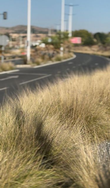 El abandono de la avenida de conexión de la A7 con El Esparragal y Cobatillas pone en riesgo la seguridad de miles de vecinos - 4, Foto 4
