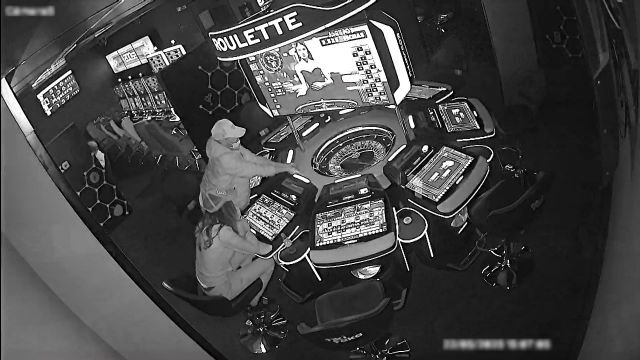 La Guardia Civil detiene a dos personas dedicadas a cometer robos en comercios - 5, Foto 5