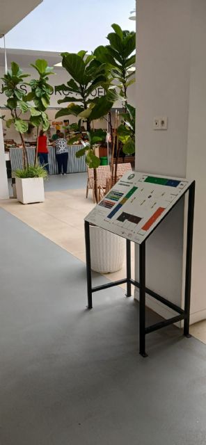 El Ayuntamiento instala señales de accesibilidad universal en las dos plazas de abastos de Alcantarilla - 2, Foto 2