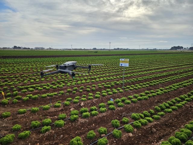 NITROSFERA culmina tres años de innovación para una fertilización hortícola más sostenible en Murcia - 1, Foto 1