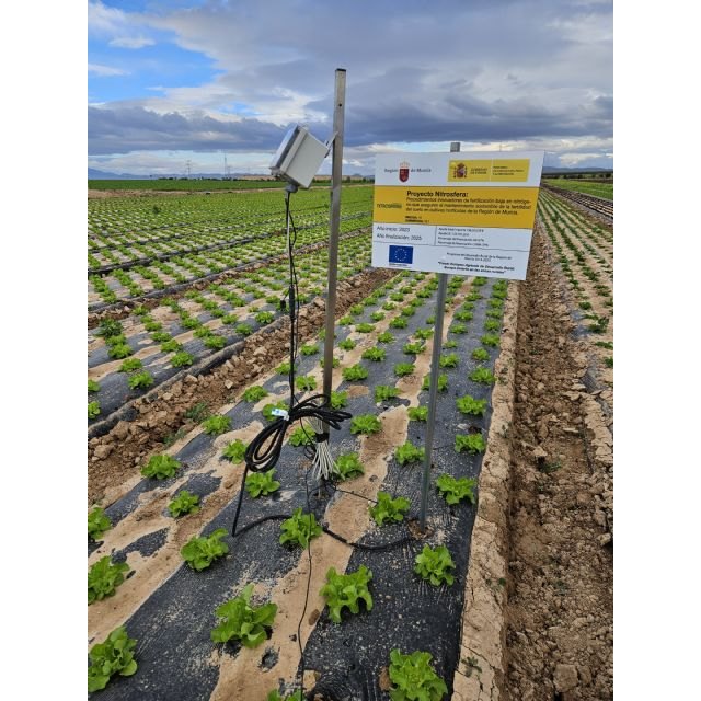 NITROSFERA culmina tres años de innovación para una fertilización hortícola más sostenible en Murcia - 2, Foto 2