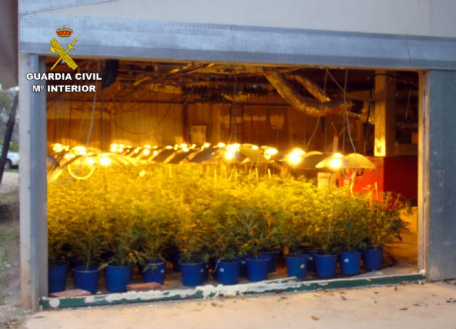 Cae en Bullas un grupo delictivo dedicado al cultivo ilícito de marihuana - 1, Foto 1