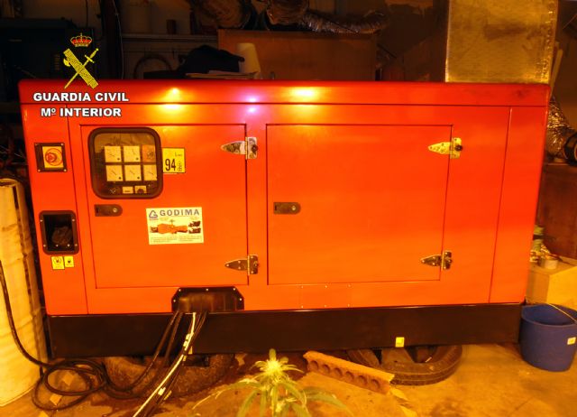 Cae en Bullas un grupo delictivo dedicado al cultivo ilícito de marihuana - 3, Foto 3