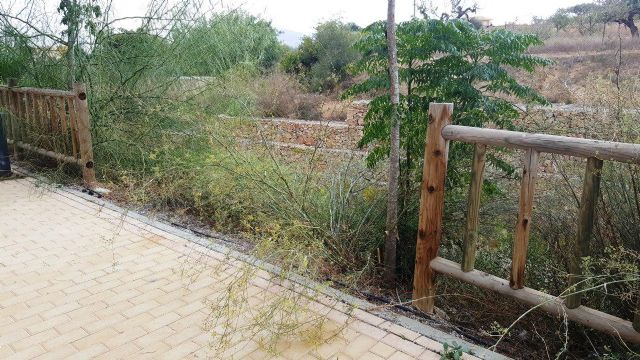 CTSSP denuncia la degradación de la zona rural de Canteras y del parque de la Rambla - 3, Foto 3