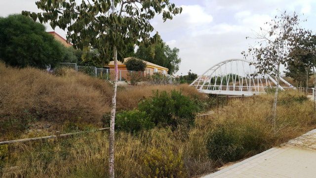 CTSSP denuncia la degradación de la zona rural de Canteras y del parque de la Rambla - 4, Foto 4