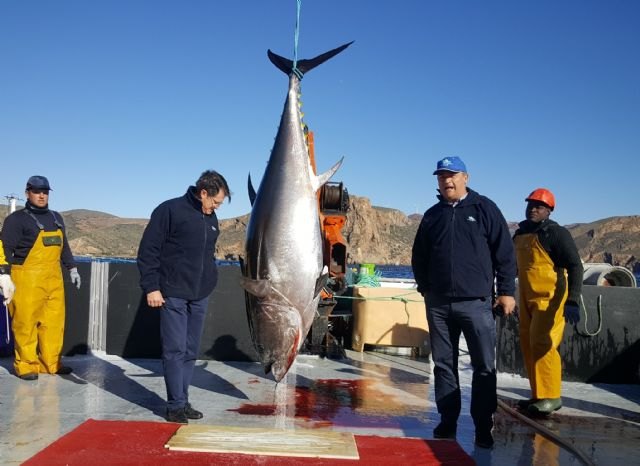 La Comunidad destina 6 millones para fomentar la competitividad y el crecimiento de la acuicultura sostenible - 1, Foto 1