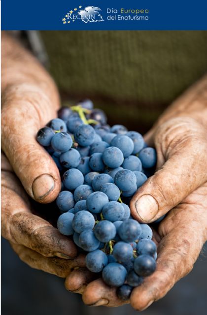 Jumilla celebra el domingo el Día Europeo del Enoturismo con puertas abiertas en bodegas, museos y Castillo - 1, Foto 1