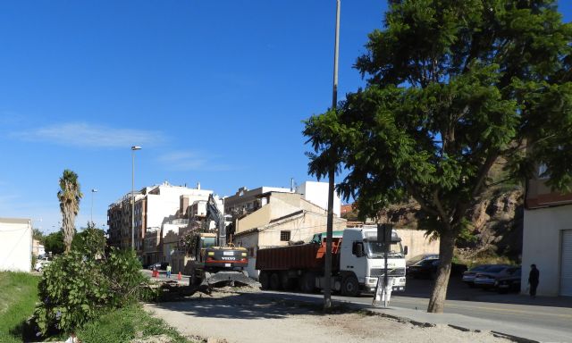IU-V logra paralizar la eliminación de la alameda de jacarandas que flanquea la vía de entrada a Lorca por la carretera de Caravaca - 1, Foto 1