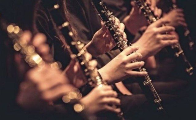 Agrupación Musical Muleña: Actividades culturales Santa Cecilia - 1, Foto 1