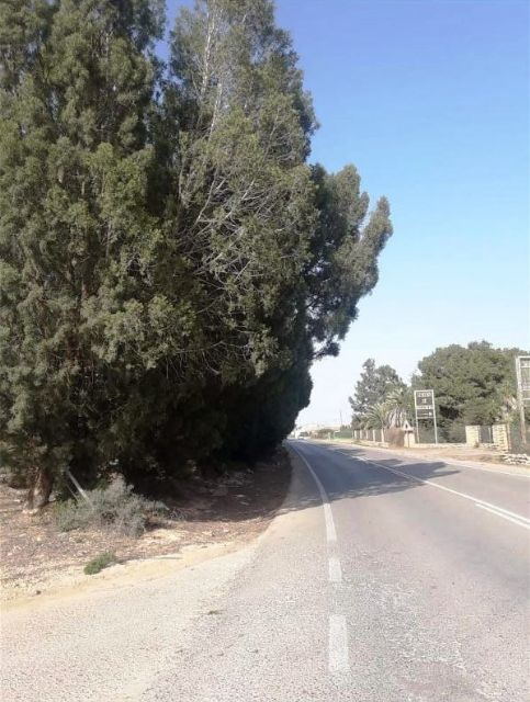 Tras múltiples iniciativas de MC, la CARM 'cede' e invertirá en mejorar la seguridad en la RM-F35 y la RM-F36 - 2, Foto 2