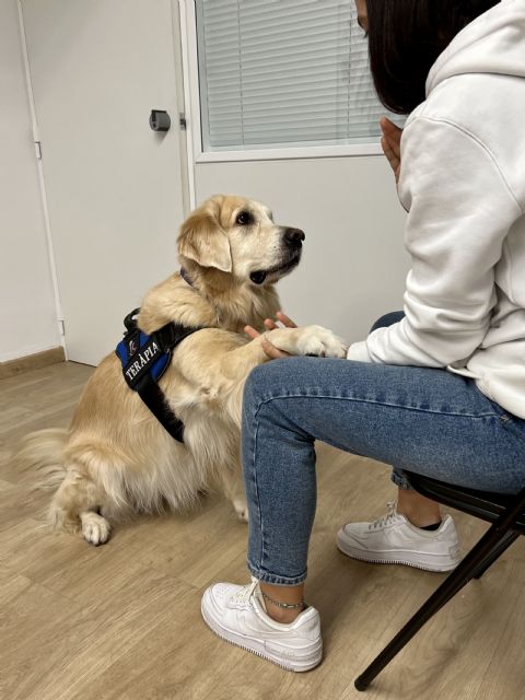 Purina colabora en un estudio multicéntrico que confirma beneficios de la terapia asistida con perros para adolescentes con trastornos mentales - 2, Foto 2