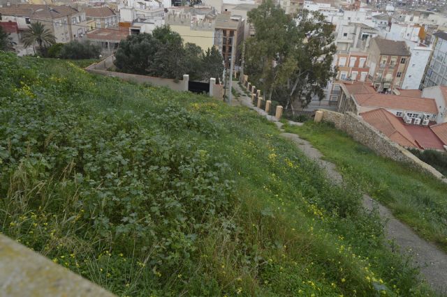 CTSSP-Podemos exigirá una actuación integral en el Parque Torres y todo su entorno - 4, Foto 4
