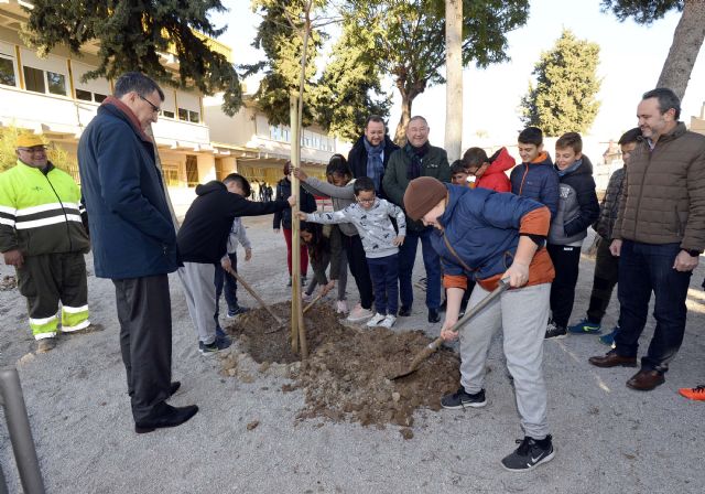 El Ayuntamiento comienza el 2020 con nuevas plantaciones de árboles para alcanzar los 200.000 en esta década - 1, Foto 1
