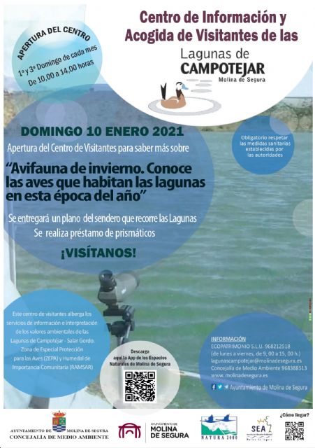 El Centro de Información y Acogida de Visitantes de Las Lagunas de Campotéjar-Salar Gordo de Molina de Segura abre sus puertas al público el domingo 10 de enero para dar a conocer las avifauna que habita en las lagunas durante el invierno - 1, Foto 1