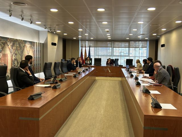 La Diputación Permanente habilita un período extraordinario de sesiones en el mes de enero - 2, Foto 2