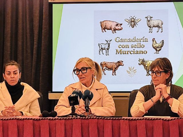 Vertebración del Territorio y Lucha contra la Despoblación - 3, Foto 3