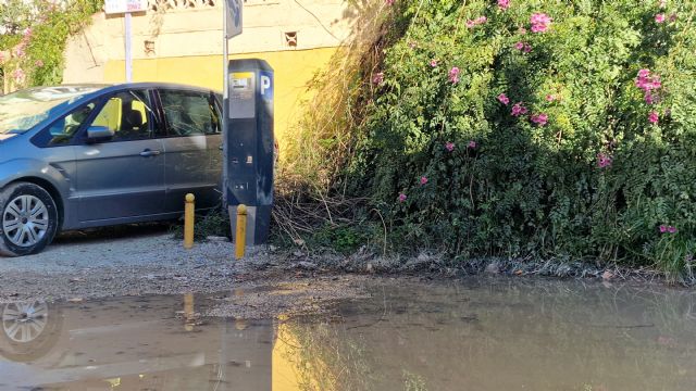 El PSOE de Lorca denuncia el estado tercermundista del solar destinado a aparcamiento ORA junto a la Alameda de la Constitución - 2, Foto 2