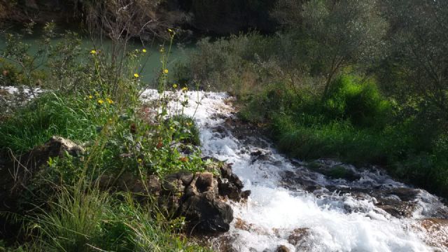 La CHS pone en marcha los pozos de sequía del Sinclinal de Calasparra para los riegos del trasvase - 2, Foto 2