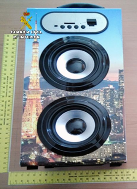 La Guardia Civil detiene a dos jóvenes por robos en chalets del Mar Menor - 3, Foto 3