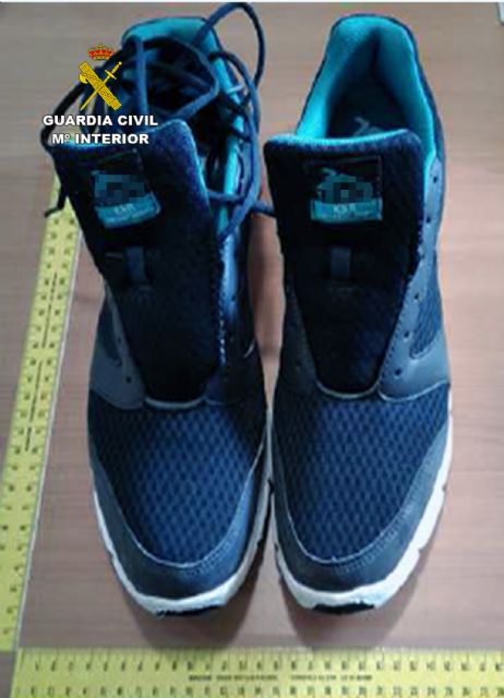 La Guardia Civil detiene a dos jóvenes por robos en chalets del Mar Menor - 5, Foto 5