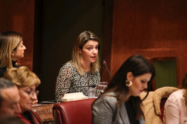 El PP pide en la Asamblea que el Gobierno de España regule la figura del asistente personal en la legislación nacional sobre dependencia - 1, Foto 1