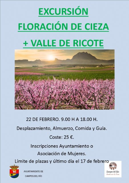 Igualdad organiza una excursión a la floración de Cieza y el Valle de Ricote - 1, Foto 1