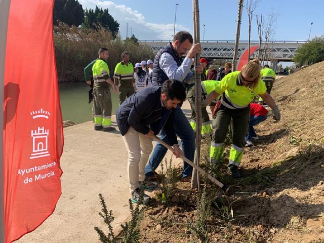 El primer colectivo de Jóvenes lleva el Plan Foresta al entorno de Murcia Río con la plantación de cerca de un centenar de árboles - 3, Foto 3