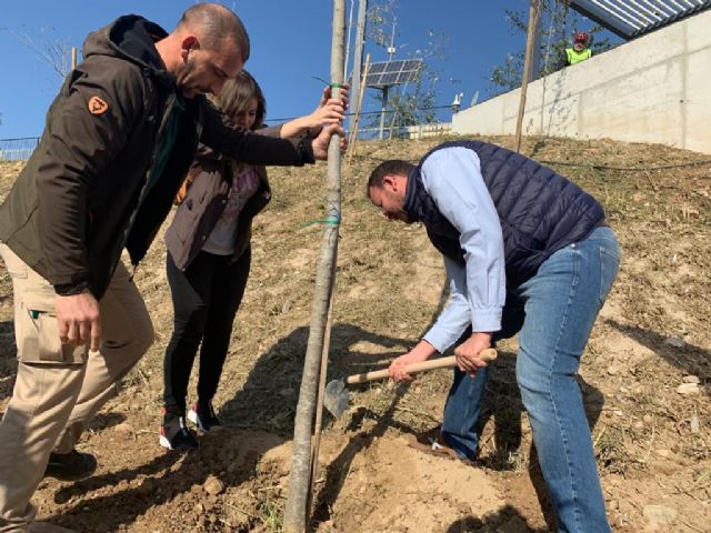 El primer colectivo de Jóvenes lleva el Plan Foresta al entorno de Murcia Río con la plantación de cerca de un centenar de árboles - 5, Foto 5
