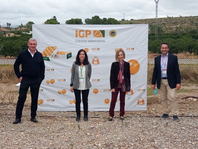 ENAC ratifica un año más “la hegemonía en calidad” de Cítricos Valencianos - 1, Foto 1