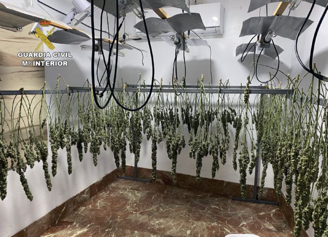 La Guardia Civil desmantela en Cieza un clan familiar dedicado al cultivo, elaboración y tráfico de droga - 1, Foto 1