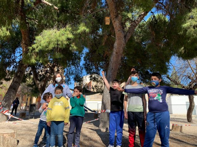 El alumnado del CEIP Cervantes de Molina de Segura coloca 16 cajas nido para aves en el centro - 2, Foto 2
