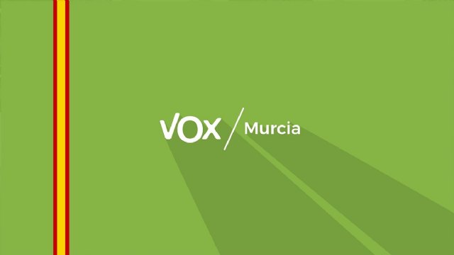 VOX condena la violencia de las elecciones en Cataluña a través de una Declaración Institucional - 1, Foto 1