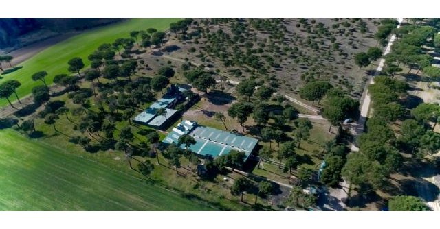 El sector ganadero-cárnico reitera su compromiso para contribuir al progreso y desarrollo de la sociedad española - 2, Foto 2