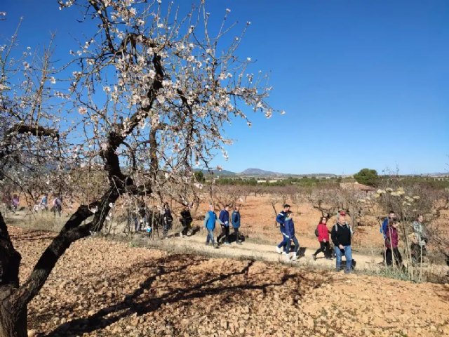 Da inicio la II Feria del Almendro en Flor de Mula - 1, Foto 1