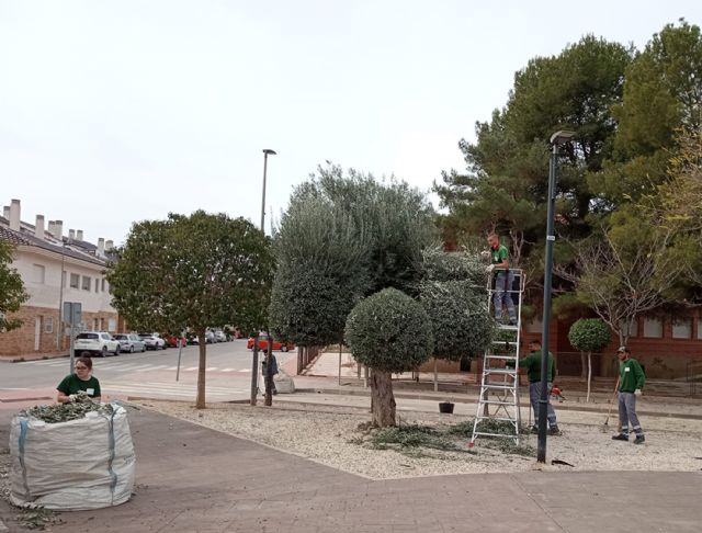 Un programa experiencial de jardinería subvencionado por el SEF se desarrollará en el Parque de la Antena - 1, Foto 1
