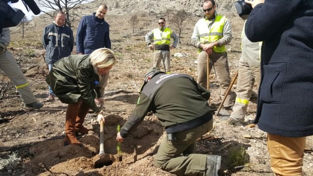 Medio Ambiente concluye los trabajos de emergencia en las zonas afectadas por los incendios del verano pasado - 1, Foto 1